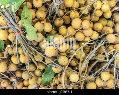 Longane, frais Fruits longane Dimocarpus longan, fruit, de l'Asie, de la même famille de litchi. Banque D'Images