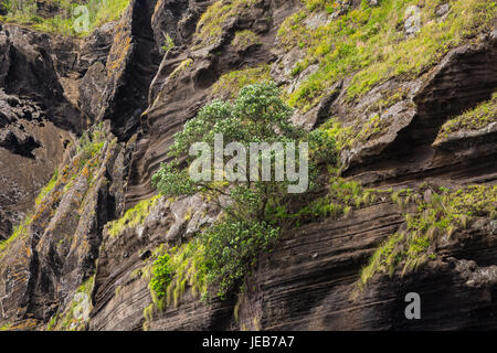 Mur de pierre au-dessus du porto capelas port de pêche sur l'île de São Miguel, l'archipel des Açores dans l'océan atlantique appartenant au portugal Banque D'Images