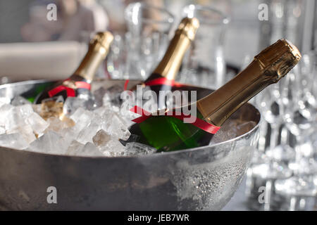 Trois bouteilles de vin dans un seau à glace Banque D'Images