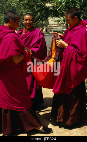 La Chine, le Qinghai, Ta er Si, moines tibétains l'inspection des longueurs de matériau. Banque D'Images