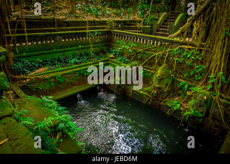 Étang avec quelques chiffres lapidé au Sanctuaire de la forêt des singes à Ubud, Bali, Indonésie. Banque D'Images