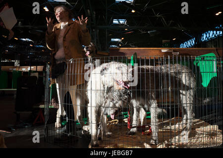 NEC, Birmingham, England, UK. 9 mars 2017. Photo : Le soleil du matin les inondations lumière dans le NEC et ces deux Irish Wolfhounds. / Première tenue Banque D'Images