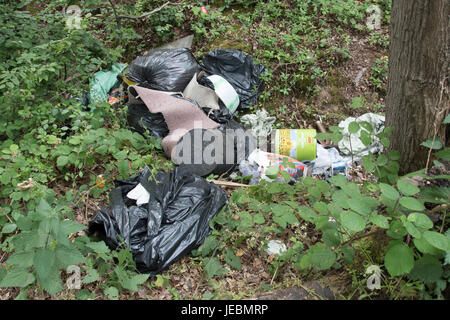 Fly-tipping dans les ruelles de Buckinghamshire ! Banque D'Images