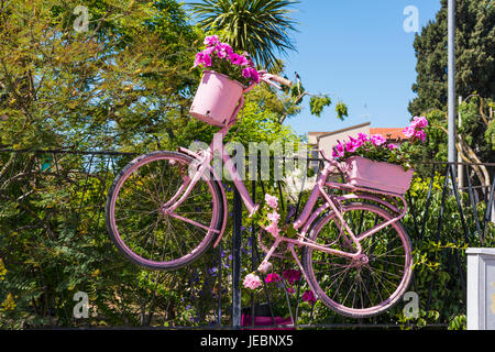 ALGHERO, ITALIE - 03/05/2017 : rose décorations pour 100e Giro d'italia à Alghero, Sardaigne Banque D'Images