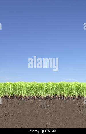 Surface de la terre, section transversale, herbe, terre, ciel, Banque D'Images