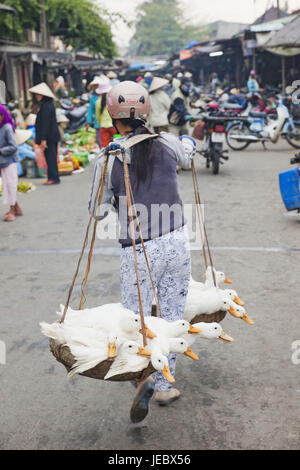 Vietnam, Hoi An, en Vieille Ville, femme porte au marché, les canards Banque D'Images