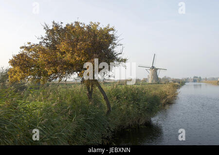 La Hollande, Pays-Bas, province de Nordholland, Kinderdijk, moulin, Banque D'Images