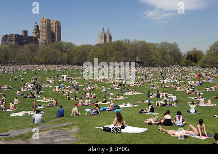 Les USA, l'Amérique, New York, Manhattan, Central Park, personne avec le soleil, Banque D'Images