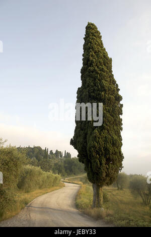 Italie, Toscane, paysage près de Val d'Elsa, Banque D'Images