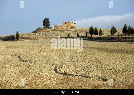 L'Italie, l'Europe, Toscane, paysage avec Val d'Orcia, Lane dans le domaine, Banque D'Images