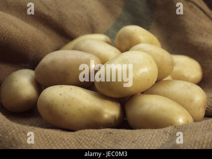 Tri de pommes de terre de 'Mona Lisa', Solanum tuberosum, Banque D'Images