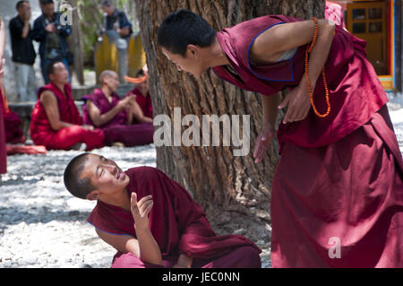 Les jeunes moines à l'heure de discussion de tous les jours dans le temple de saga, Lhassa, Tibet, Asie, Banque D'Images