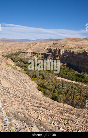 Green rock canyon de Ghouffi dans la Montagnes des Aurès, Algérie, Afrique, Banque D'Images