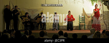 L'Espagne, l'Andalousie, le flamenco dans le Tablao Cardenal, Banque D'Images