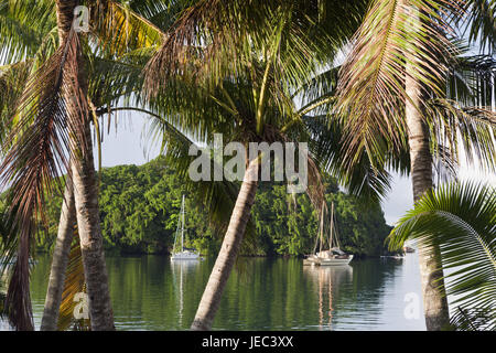 Voiliers d'avant, de l'île, le port de Suva, Fidji, Viti Levu Banque D'Images