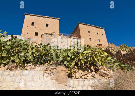 Petit village sur le green rock canyon de Ghouffi dans la Montagnes des Aurès, Algérie, Afrique, Banque D'Images