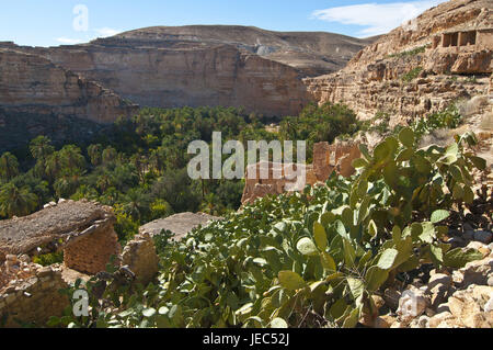 Green rock canyon de Ghouffi dans la Montagnes des Aurès, Algérie, Afrique, Banque D'Images