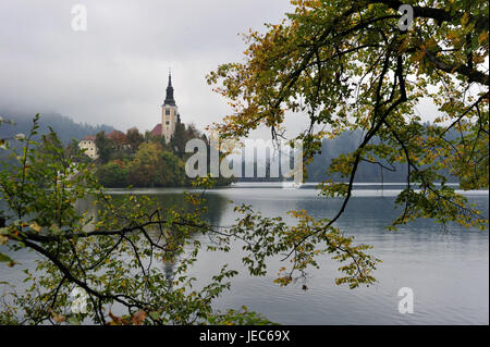 La Slovénie, de la région de Gorenjska, Bled, vue sur le lac Bleder sur l'église, Banque D'Images