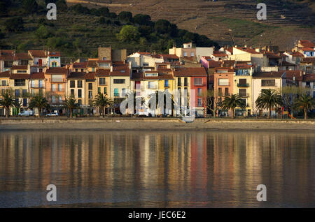 Europe, France, Collioure, Europe, France, Languedoc-Roussillon, Collioure, Département d'Pyrénées-East ale, tag, photo couleur, personne, Architecture, bâtiment, structure, des structures, des eaux, de l'eau, la mer, la mer Méditerranée, paysage, paysages, littoral, paysages côtiers, paysages côtiers, les côtes, l'océan, les océans, la géographie, les voyages, Destination, destination de vacances, le tourisme, tourisme, paroisse, paroisses, place, place, ville, communes, vue sur la ville, vue sur la ville, rives, palmier, palmiers, Méditerranée, maison, maison, maison d'habitation, maisons d'habitation, la mise en miroir de l'eau, l'eau, la mise en miroir, mirrorings Banque D'Images