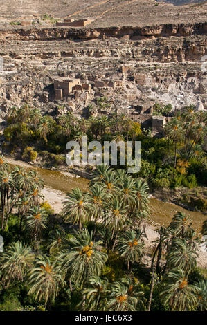 Green rock canyon de Ghouffi dans la Montagnes des Aurès, Algérie, Afrique, Banque D'Images