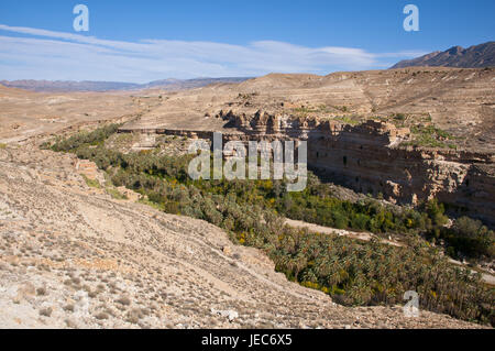 Green rock canyon de Ghouffi dans la Montagnes des Aurès, Algérie, Afrique, Banque D'Images