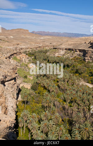 Green rock canyon de Ghouffi dans la Montagnes des Aurès, Algérie, Afrique, Banque D'Images