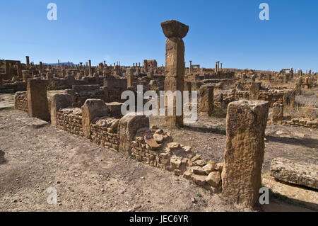 L'héritage culturel mondial de l'UNESCO, les vestiges romains de Timgad, l'Algérie, l'Afrique, Banque D'Images