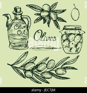 Branches d'oliviers, pot d'olives marinées fait maison, une bouteille avec de l'huile d'olive vierge, de feuilles et de fruits, woodcut style design, hand drawn doodle, sketch Illustration de Vecteur