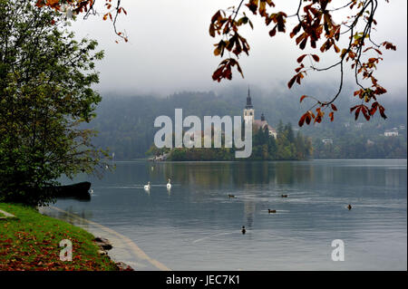 La Slovénie, de la région de Gorenjska, Bled, vue sur le lac Bleder sur l'île avec l'église, Banque D'Images