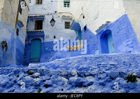 Le Maroc, Chefchaouen, Lane, façade de maison, bleu, Afrique, maisons, bâtiments, murs de défense de la chambre, murs de défense, façades, portes, style architectural, tradition, architecture, déserte, point d'intérêt, escaliers, Banque D'Images