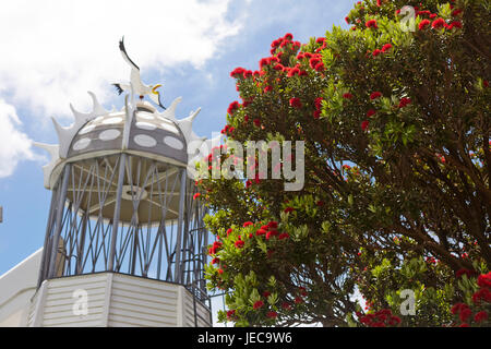 Faites glisser Frank Kitts Park et au bord de l'arbre pōhutukawa Wellington Banque D'Images