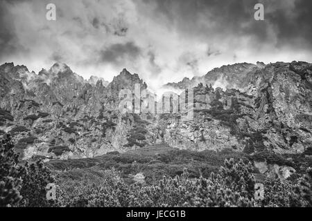 Image en noir et blanc des Hautes Tatras, en Slovaquie. Banque D'Images