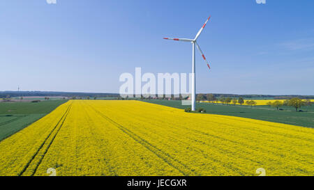 Photo aérienne du champ de colza et le vent, près d'Suelbeck, Basse-Saxe, Allemagne Banque D'Images