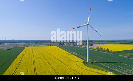 Photo aérienne du champ de colza et le vent, près d'Suelbeck, Basse-Saxe, Allemagne Banque D'Images