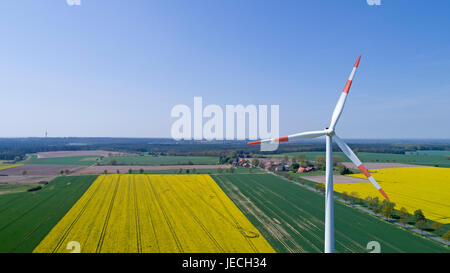 Photo aérienne du champ de colza et le vent, près d'Suelbeck, Basse-Saxe, Allemagne Banque D'Images