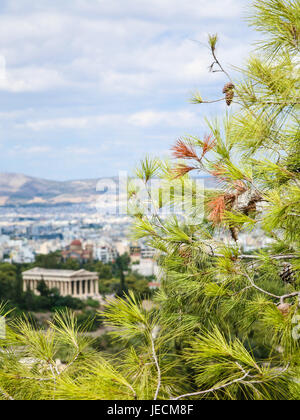 Voyager en Grèce - rameau vert sur le premier plan et mal vue de Temple d'Héphaïstos dans l'Agora sur le haut de la colline de l'Aréopage Kolonos Agoraios hil Banque D'Images