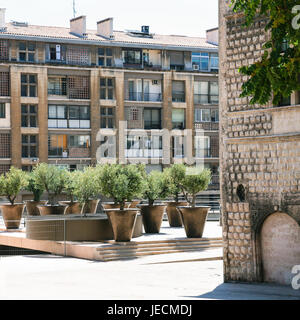 Billet à la Provence, France - peu de plantes ornementales jardin public sur la rue rue du Lacydon à Marseille Banque D'Images