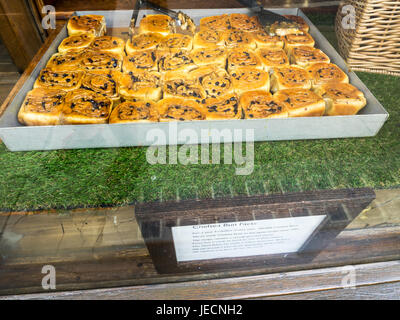 Chelsea ou Sticky Buns dans la fenêtre d'Fitzbillies salon de thé et restaurant à Cambridge UK Banque D'Images