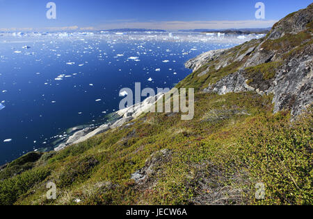 Le Groenland, soirée disco, la baie d'Ilulissat, fjord, glaces en dérive, paysages côtiers, détail, vue, l'ouest du Groenland, glace, glacier, l'Arctique, l'été, la solitude, désert, glacier, glaces, icebergs, la nature, le changement climatique, la mise en miroir, surface de l'eau, côte de la bile, couverts, la végétation, les plantes, Banque D'Images