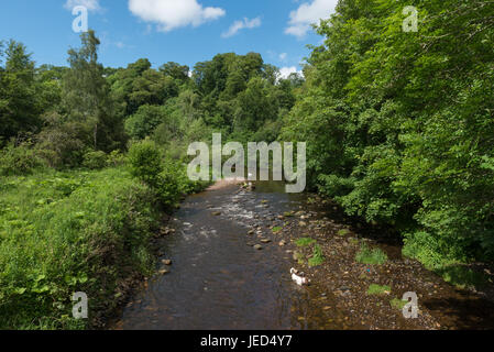 La rivière North Esk à Roslin Glen de Midlothian Ecosse Banque D'Images