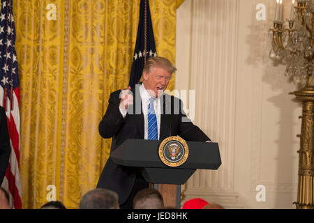 Washington, USA. 23 Juin, 2017. Le président Donald J. Trump signe la reddition des anciens combattants et la protection du dénonciateur Act de 2017 à la Maison Blanche. Credit : Patsy Lynch/Alamy Live News Banque D'Images