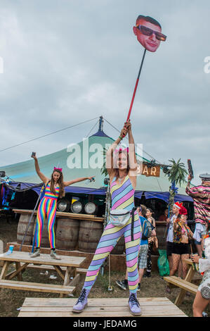 Glastonbury, Somerset, Royaume-Uni. 23 Juin, 2017. Un groupe d'amis a l'image de carton de l'un d'entre eux comme point de ralliement - ils ont utilisé la même image pendant trois ans. Le festival de Glastonbury en 2017, digne ferme. Glastonbury, 23 juin 2017 Crédit : Guy Bell/Alamy Live News Banque D'Images