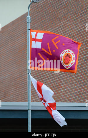 Belfast, Irlande du Nord,. 23 Juin, 2017. Un certain nombre de zones résidentielles mixtes/intégré dans le sud de Belfast ont été ciblés avec un grand nombre de drapeaux, y compris certains drapeaux UVF après des résidents se sont plaints. Crédit : Stephen Barnes/Alamy Live News Banque D'Images