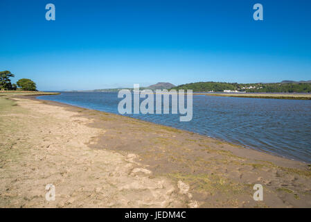 Morfa Harlech, une réserve naturelle sur la rive de la rivière Dwyryd dans le parc national de Snowdonia, le Pays de Galles. Banque D'Images