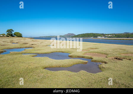 Morfa Harlech, une réserve naturelle sur la rive de la rivière Dwyryd dans le parc national de Snowdonia, le Pays de Galles. Banque D'Images