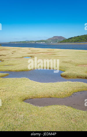 Morfa Harlech, une réserve naturelle sur la rive de la rivière Dwyryd dans le parc national de Snowdonia, le Pays de Galles. Banque D'Images