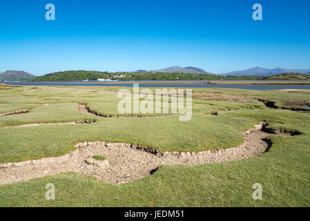 Morfa Harlech, une réserve naturelle sur la rive de la rivière Dwyryd dans le parc national de Snowdonia, le Pays de Galles. Banque D'Images