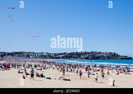 Festival du vent, Bondi Beach, Sydney Banque D'Images