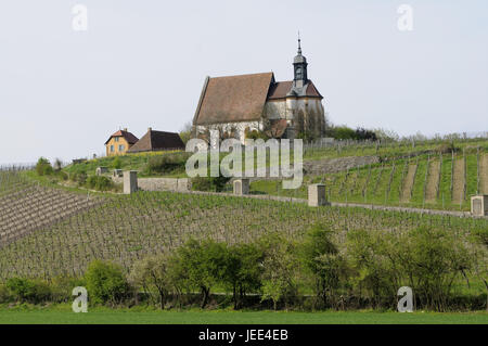 Band'Maria dans la vigne', Volkach, Lower Franconia, Bavaria, Banque D'Images