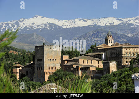 Espagne, Andalousie, Grenade, Alhambra, Sierra Nevada en arrière-plan, Banque D'Images